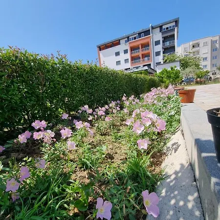 Holiday Home بيت ضيافة